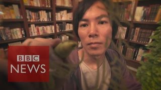 Manga artist Hajime Isayama reveals his inspiration  BBC News [upl. by Winfrid217]