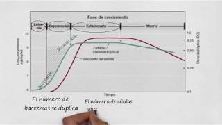 Crecimiento microbiano [upl. by Aroel]