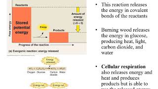 Chapter 7 Microbial Metabolism [upl. by Marty]