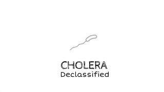 Cholera declassified [upl. by Ahsiekahs]