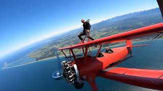 First time wing walker shows no fear [upl. by Yannodrahc]