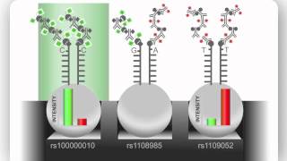 Illumina Infinium Assay An Overview [upl. by Pulchia]