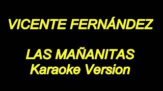 Vicente fernandez  Las Mañanitas Karaoke Lyrics NUEVO [upl. by Notsua]