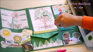 Lapbook Las Plantas [upl. by Anilehcim]