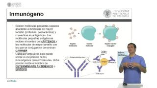 Antígenos y Anticuerpos  225  UPV [upl. by Mahan]