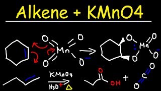 Alkene  KMnO4 Reaction [upl. by Aikcir]