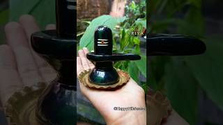 ShivlingShivalingaShivalingam shivalingam shiva [upl. by Ecinna]