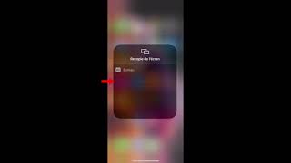 iOS 12 La Fonction recopie de lécran [upl. by Enelyahs]