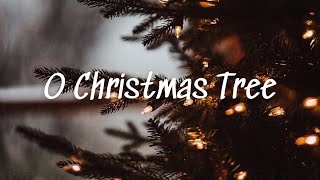 O Christmas Tree  Lyrics [upl. by Reseda689]