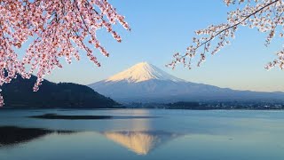 Mt Fuji Day Trip with Lake Ashi Sightseeing Cruise from Tokyo Japan [upl. by Nicram]