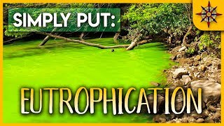 Eutrophication Explained [upl. by Usanis]