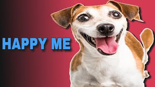 5 Sound That Make Dogs Happy  HAPPY ME [upl. by Laehcar]