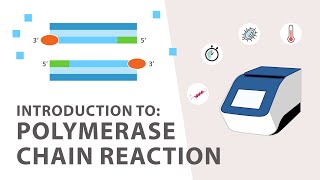 1 PCR Polymerase Chain Reaction Tutorial  An Introduction [upl. by Otanutrof]