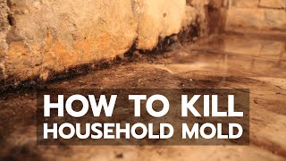 How to Kill Household Mold [upl. by Hugo]