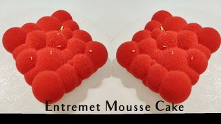 Entremet Mousse Cake [upl. by Gage]