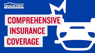 Comprehensive Car Insurance  American Family Insurance [upl. by Neb]