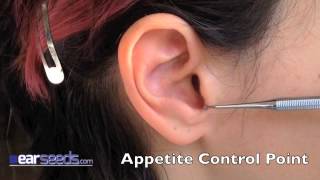 Appetite Control  Hunger Point Auriculotherapy Point [upl. by Arek]