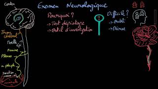 Examen neurologique  Introduction  Docteur Synapse [upl. by Haeel]