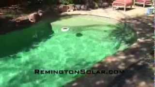 Remington Solar Swimming Pool ChemicalFree quotSun Shockquot Ionizer [upl. by Benilda155]