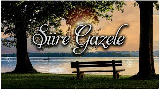 ŞİİRE GAZELE ♫ Fon Müziği Kanun amp Gitar [upl. by Richey3]