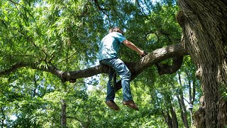 Funniest Tree Cutting Fails [upl. by Desmund]