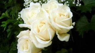 Gypsy Jazz  Saban Bajramovic  Bele Ruze White Roses [upl. by Trev174]