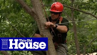 How to Cable a Large Split Tree  This Old House [upl. by Battiste151]