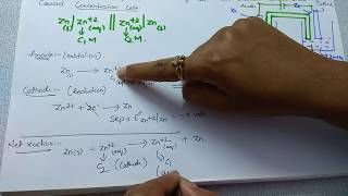 Concentration cells  Nernst equation  Electrochemistry  Class 12 Chemistry [upl. by Lenwood]