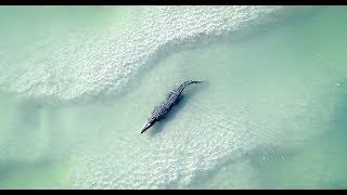 Broome  Western Australia [upl. by Lodnar]