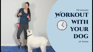 10 minute Workout with your Dog at Home [upl. by Dihahs621]