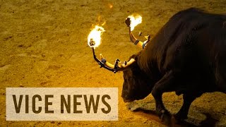 Toros en las calles de España Animalistas vs taurinos [upl. by Marola]