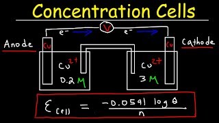 Concentration Cells amp Cell Potential Calculations  Electrochemistry [upl. by Lynus273]