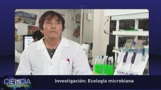 Ecología microbiana [upl. by Aslehc]