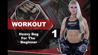 Punch Fit Beginners Heavy Bag Workout 1 [upl. by Lizbeth]