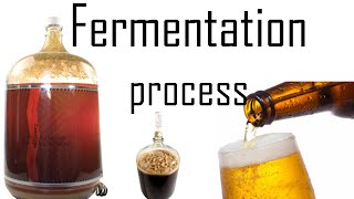 Fermentation process  fermentation biology in yeast [upl. by Jeconiah490]