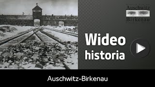 Wideo historia  AuschwitzBirkenau [upl. by Phillida]