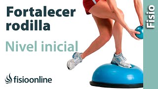 Ejercicios para fortalecer la rodilla  Nivel de recuperación inicial [upl. by Ikkir639]