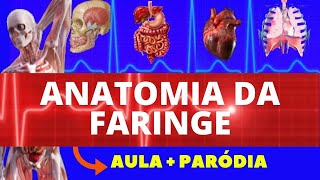 ANATOMIA DA FARINGE  AULA  PARÓDIA NASOFARINGE OROFARINGE E LARINGOFARINGE  SISTEMA DIGESTÓRIO [upl. by Giorgi500]