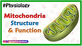 Mitochondria Functions Genomics and Disease [upl. by Yorgerg884]