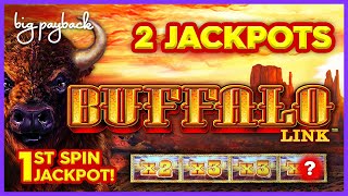 1ST SPIN JACKPOT Buffalo Link Slot  TWO INCREDIBLE HANDPAYS [upl. by Bat]