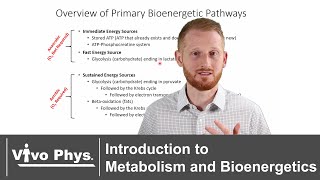 Introduction to Metabolism and Bioenergetics [upl. by Ogdon398]