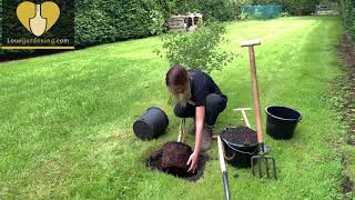 How to Plant and Stake a Tree  A simple guide [upl. by Kobi]