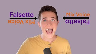 How To Sing In Mixed Voice The FALSETTO MIX [upl. by Naitirb]