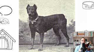 German Pinscher Pros and Cons Price How to choose Facts Care History [upl. by Ahmed]