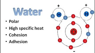 Water Chemistry [upl. by Odlavso]