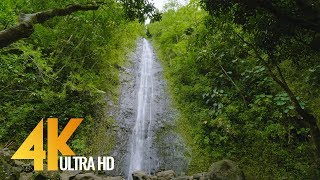 Gorgeous Waterfalls in 4K 60fps 2160p  Soothing Nature Video for RelaxationOahu Waterfalls 5 HRS [upl. by Joletta776]