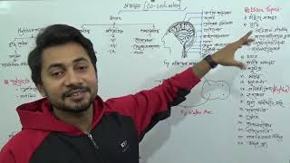 Coordination সমন্বয়  SSC Biology Chapter 10  Fahad Sir [upl. by Oneal705]