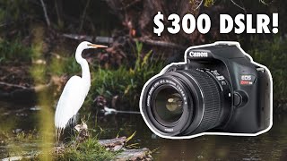 Is The Cheapest DSLR from Amazon Worth It Canon T6 Review [upl. by Landrum643]