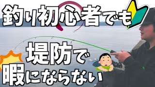 【初心者さんへ】簡単に釣れる仕掛けを紹介します【釣禁の末期から脱却！】 [upl. by Vial]