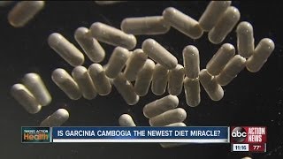 Is Garcinia Cambogia the newest diet miracle [upl. by Bittencourt]